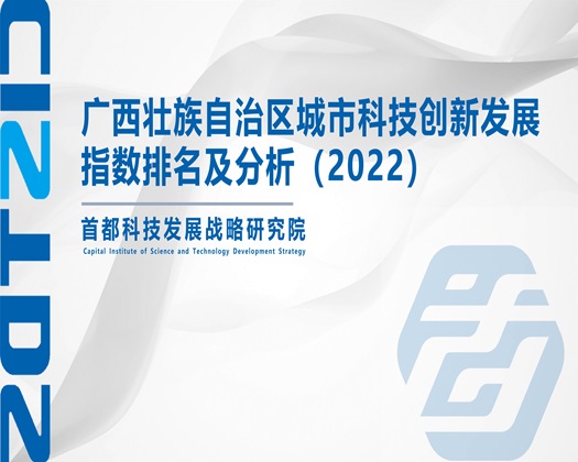 插日本美女大逼视频【成果发布】广西壮族自治区城市科技创新发展指数排名及分析（2022）